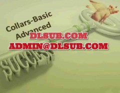 Random Walk Trading Collar Basic to Advanced randomwalktrading.com