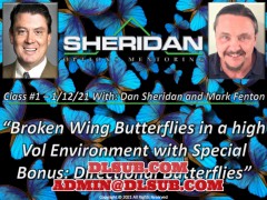 Dan Sheridan - Broken Wing Butterflies in a High Vol Environment
