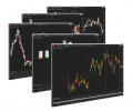 Institute of Order Flow Analytics Intensive Boot Camp 5 Day Course