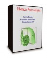Carolyn Boroden - Fibonacci Price Analysis Part 1 - 3