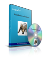 Charles Cottle – Foundations of Options - Beginners Options Trading