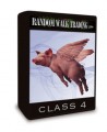 Random Walk Trading - Online Coaching Program - Class 4